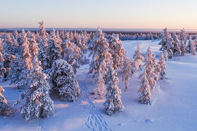 Snowmobile Driving - Morning start - Price and value: what $153.31 gets you (and what might cost extra)