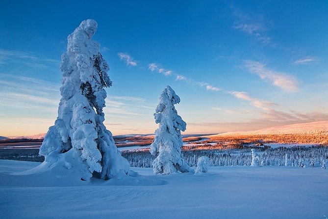 Snowmobile Driving - Morning start - Clothing and comfort: how to avoid the classic cold-day problems