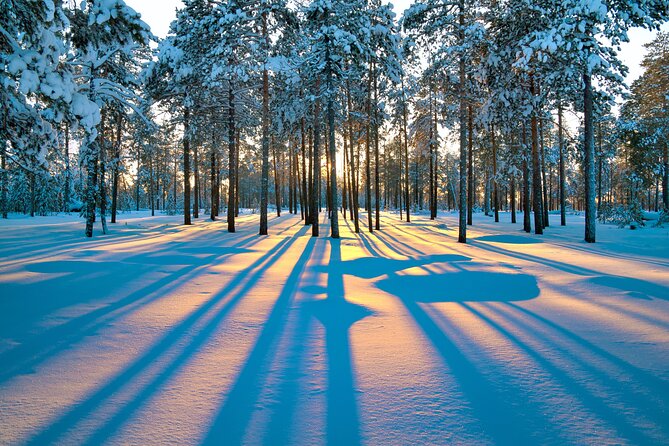 Snowmobile Safari 2h - The Small-Group Limit: Why Max 15 Travelers Changes Everything