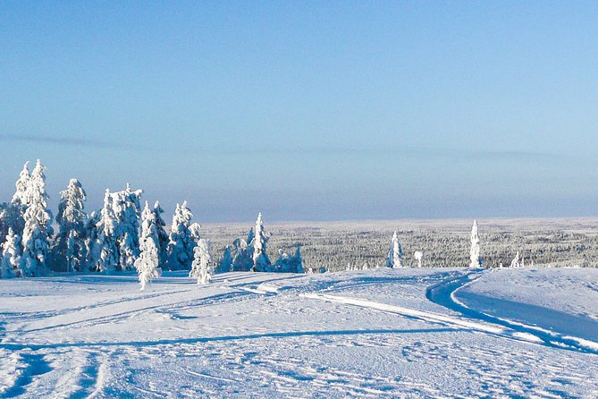 Snowmobile Safari in the Forest - The Open-Fire Lunch in a Hut: Warm Up the Right Way