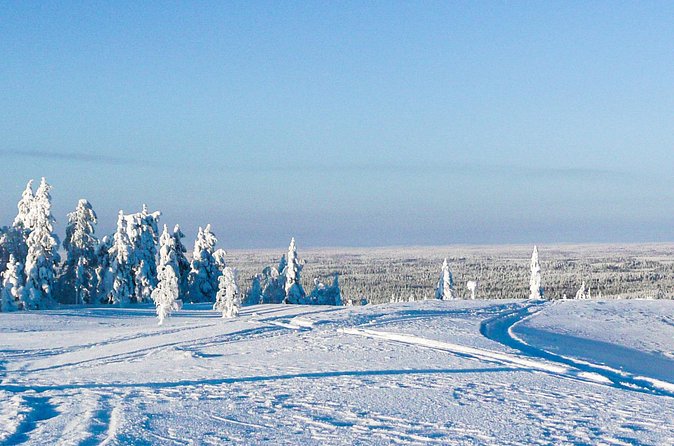 Snowmobile Safari in the Forest - Pickup, Group Size, and Why You’ll Feel Looked After