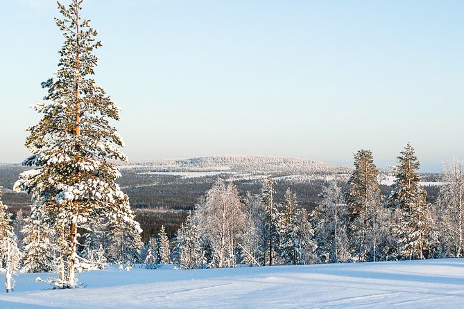 Snowmobile Safari in the Forest - Getting There: The 9:00 Start and Kemi-Tornio Pickup