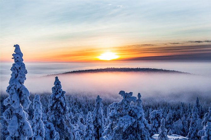 Snowmobile Safari in the Nature - Guide Style and Group Size: What a Max-15 Ride Feels Like