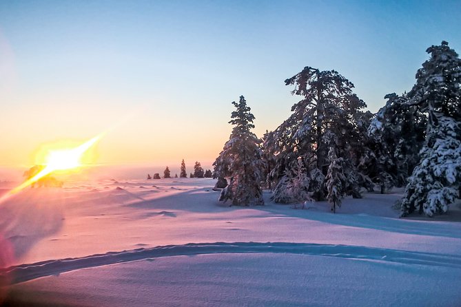 Snowmobile Safari in the Nature - Safety and Insurance: The One Thing I’d Verify Before Riding