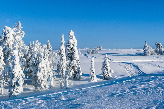 Snowmobile Safari in the Nature - Morning start - The route you actually want: hills, forests, and frozen crossings