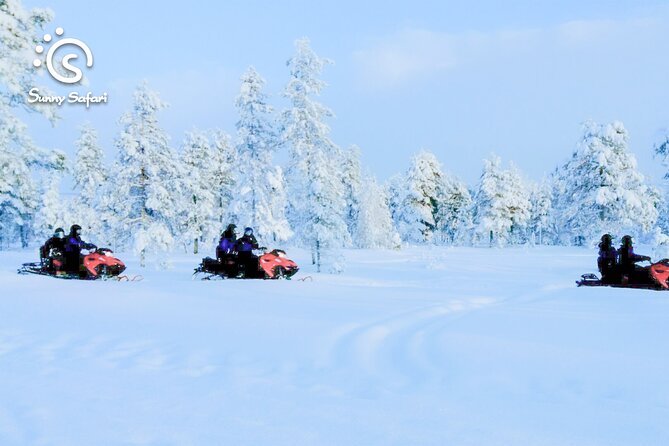 Snowmobile Safari into Arctic Wilderness - The Ride Itself: Arctic Snow, Picture Stops, and Real-World Speed