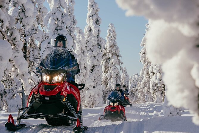 Snowmobile Safari into the Arctic Circle Forest - Key things that make this safari worth your time