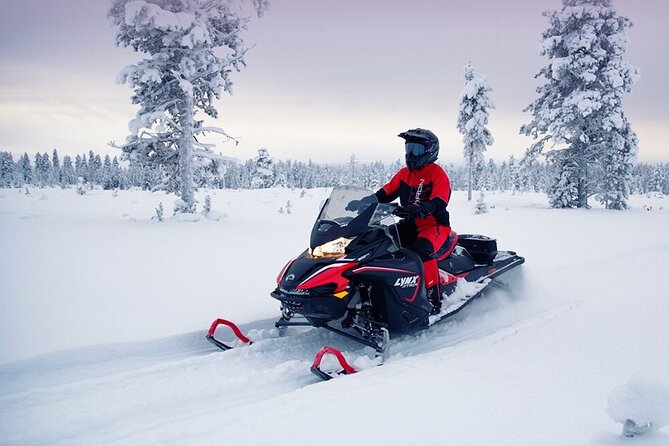 Snowmobile Tour with Small Group in Remote Wilderness 3 Hours - Why this 3-hour Rovaniemi ride feels like real Arctic time