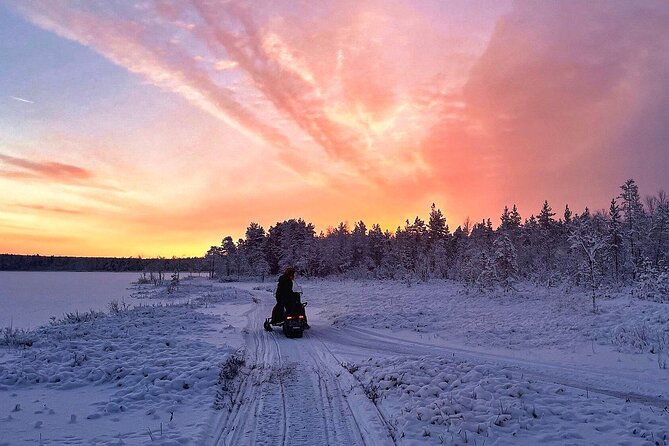 Snowmobile Tour with Small Group in Remote Wilderness 3 Hours - Safety briefing and guide pacing: how they match the ride to you