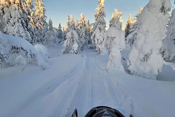 Snowmobile Tour with Small Group in Remote Wilderness 3 Hours - Small group size, pickup options, and where to start your day