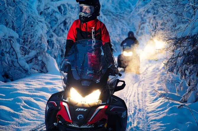 Snowmobile Tour with Small Group in Remote Wilderness 3 Hours - Price and value: is $222.27 worth it?