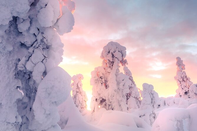 Snowmobile Tours in Rovaniemi Lapland - Snowride Lapland: a practical way to ride Lapland in 3 hours