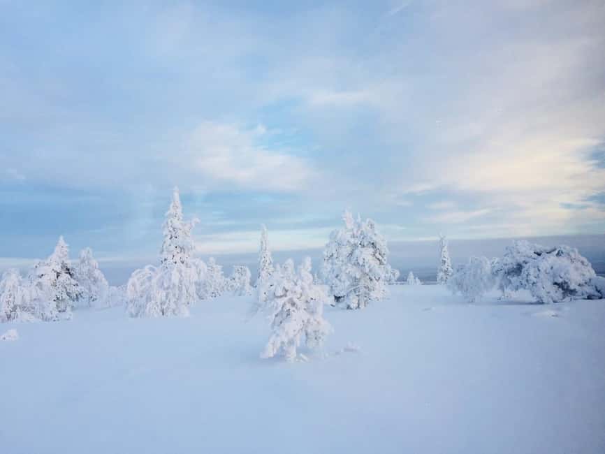 Snowshoe experience with traditional beverages in Lapland - Key Highlights That Make This Tour Worth Your Attention