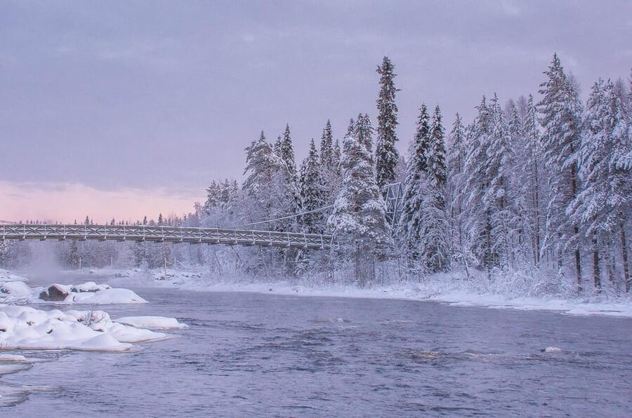 Snowshoe experience with traditional beverages in Lapland - Your Guide Matters More Than You Think