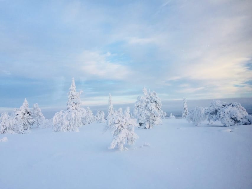 Snowshoe experience with traditional beverages in Lapland - Fitness Level and Safety: Who This Fits Best