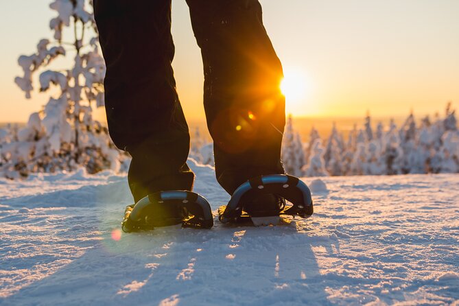 Snowshoe Fun - Who This Fits Best in Lapland, and Who Should Think Twice