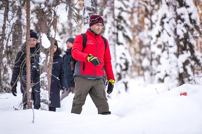 Snowshoe Trip in the Wilderness - Snowshoeing in Rovaniemi: what the experience is really about