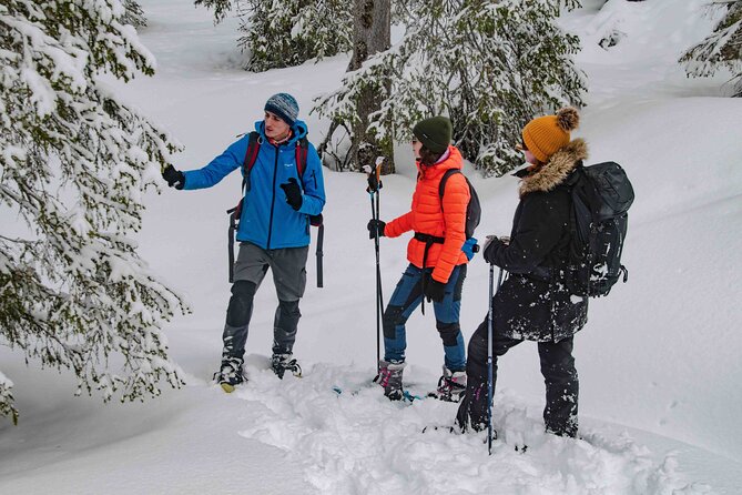 Snowshoeing Adventure with Ice-Fishing, Fire and Survival - Beyond the fire: local flora, food, and medicine tips that stick