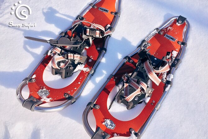 Snowshoeing in Lapland Wilderness - Kids, toboggans, and family timing that actually works