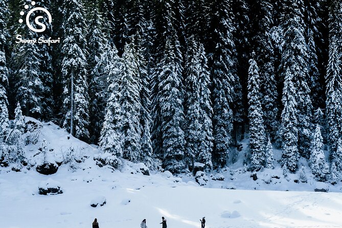 Snowshoeing in Lapland Wilderness - Guides make the difference: Jordy, Andrés, and Franck in action