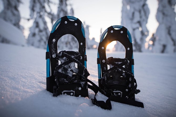 Snowshoeing in the Arctic Circle Wilderness - Getting There: The Safari Center Meeting and the 20-Minute Transfer