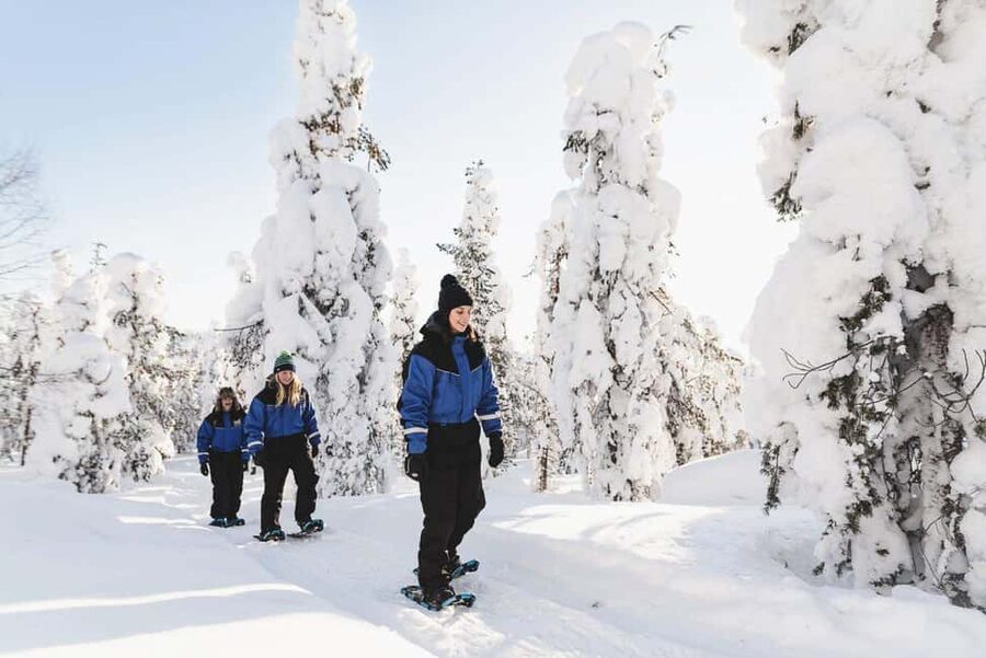 Snowshoeing in the Arctic Wilderness - The Ride Out: Pickup Options, Van Time, and a Scenic Secret Stop