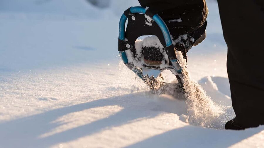 Snowshoeing in the Arctic Wilderness - On the Trail: Frozen Rapids, Snowshoe Basics, and Pace Control