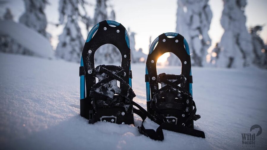 Snowshoeing in the Arctic Wilderness - Secret Views and Frozen Water Stops: What the Walk Gives You
