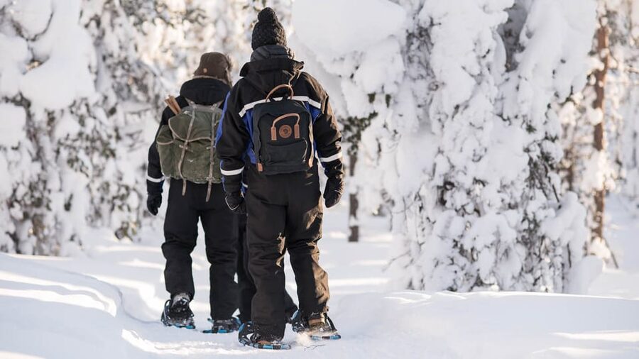 Snowshoeing in the Arctic Wilderness - Price and Value: Is $140 for 4 Hours Worth It?