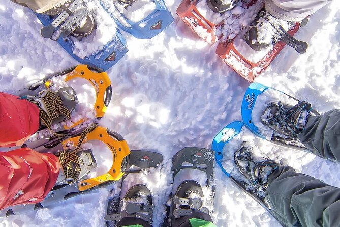 Snowshoeing tour with Wild Lunch - From Rovaniemi to the forest: how the timing really works