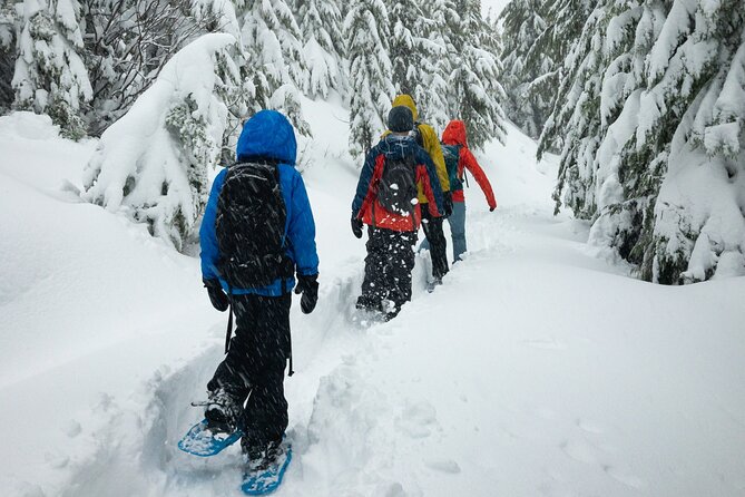 Snowshoeing tour with Wild Lunch - Snowshoeing in Lapland: what you’re actually doing for 3 hours