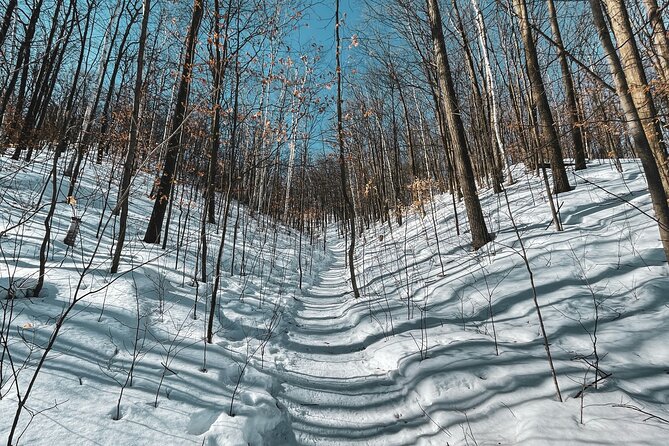 Snowshoeing tour with Wild Lunch - Pickup, group size, and how to make the most of a small tour