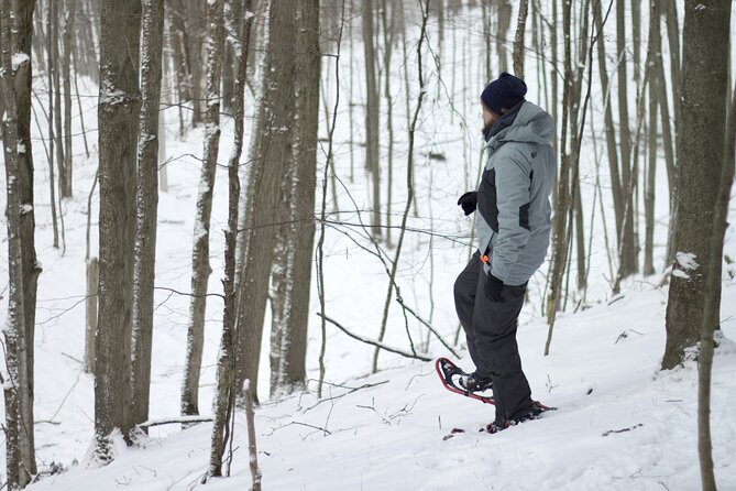 Snowshoeing tour with Wild Lunch - Price and value: is $95.53 a fair deal?