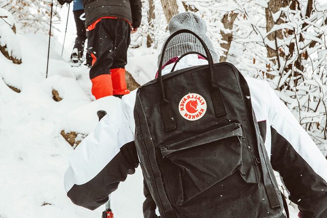Snowshoeing tour with Wild Lunch - Who should book this snowshoe + wild lunch tour