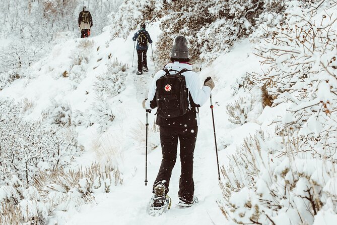 Snowshoeing tour with Wild Lunch - Booking timing: why you might want to lock it in early