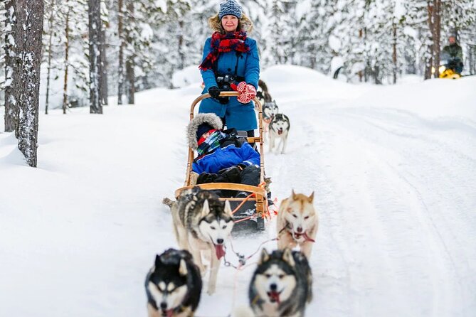 Snowy Trails 10km Husky Safari from Rovaniemi - Sitting on a sled behind trained dogs: driving, comfort, and control