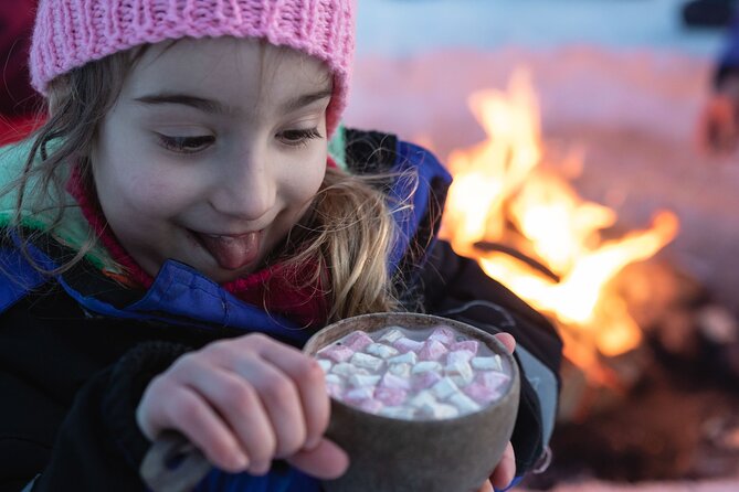 The Hidden Place of Santa - Reindeer sleigh ride and the driving license moment