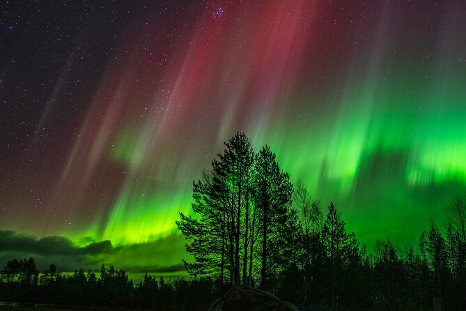 The Ultimate Guaranteed Aurora Hunt - Price and Value: Is $216.74 Worth It?