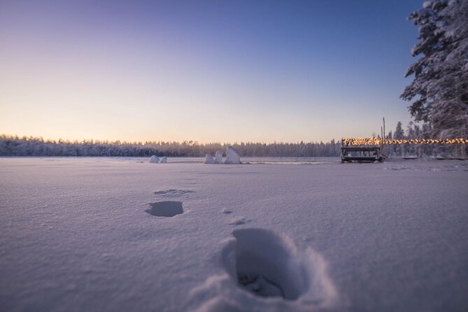 The Ultimate Lappish Adventure, Full Day Tour, Meals Included - Pickup, timing, and small-group reality in Rovaniemi