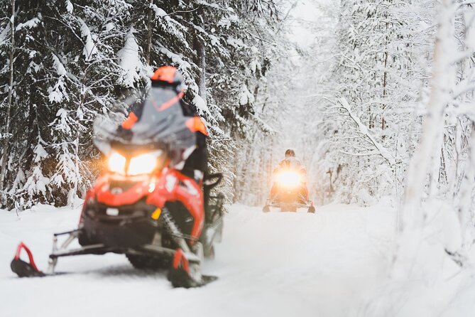 Thrill of Snowmobiling for Adults Only - Gear up fast at Wild Nordic Safari Center