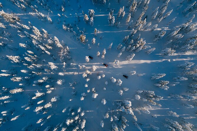 Thrill of Snowmobiling for Adults Only - Driving time: about 2.5 hours across snowy Lapland