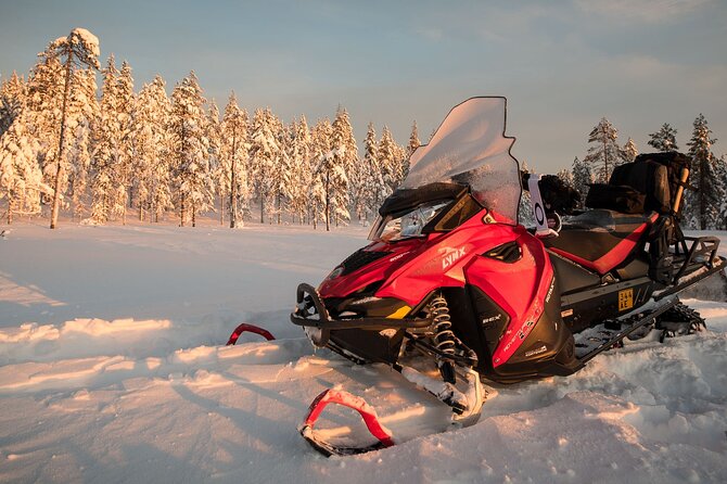 Thrill of Snowmobiling for Adults Only - Price: what you’re really paying for at $215.05