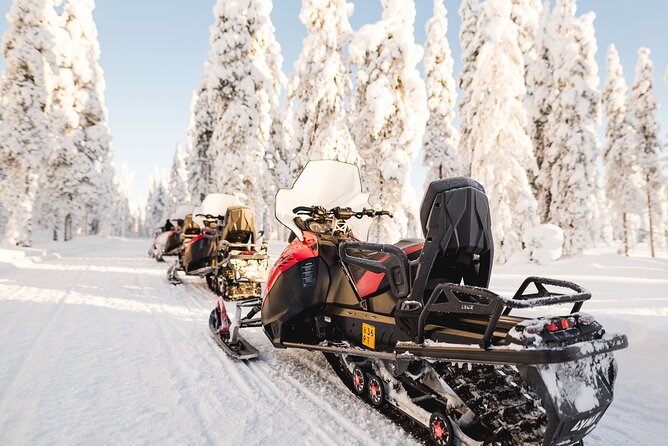 Thrill of Snowmobiling for Adults Only - Who this safari suits best (and who should skip it)