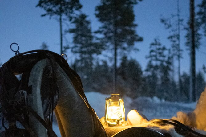 Traditional Finnhorse Sleigh Ride at SCV (3km) - Finnhorse Magic Starts With the Horse Story