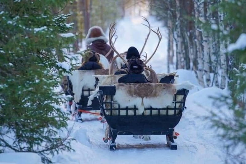 Traditional Reindeer Farm Visit with a Short Sleigh Ride - Entering the farm: what you’ll learn about native reindeer and herding