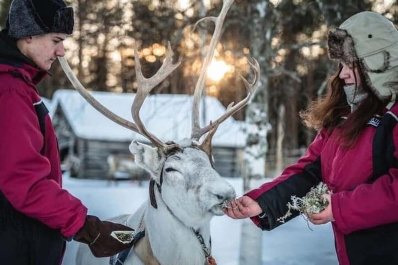 Traditional Reindeer Farm Visit with a Short Sleigh Ride - Gear check: the included thermal kit is the secret to enjoying Lapland