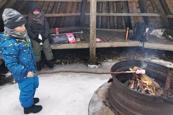 Traditional Sight-Skiing Experience in Kemi - Weather Reality: Wind, Sun, and Why Cancellation Options Matter