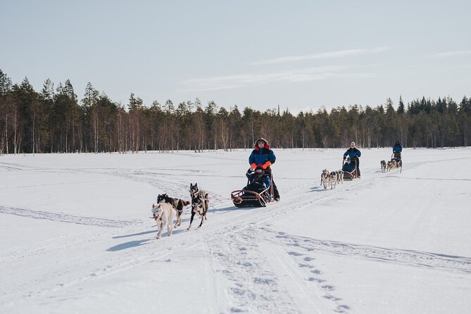 Trail of Tails Step into the Mushing Life in 5KM Husky Safari - Timing and weather: why this safari depends on winter conditions