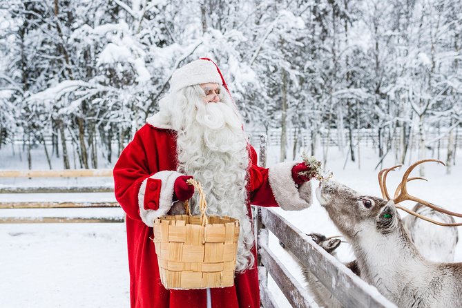 Trip to Arctic Circle, Santa Claus Village and Santas Reindeer - Key Takeaways Before You Go
