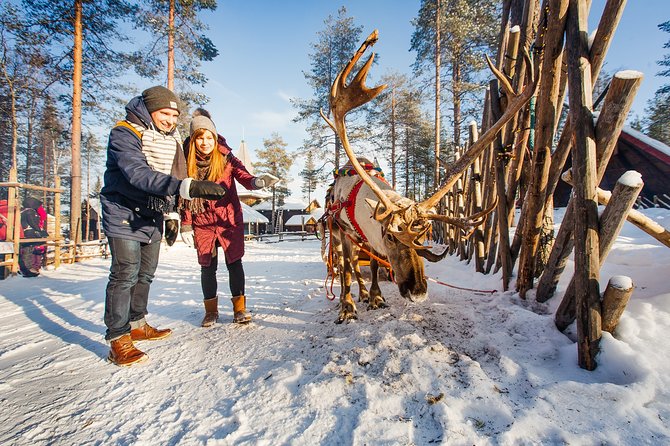 Trip to Arctic Circle, Santa Claus Village and Santas Reindeer - Pickup, Timing, and Group Size (So You Don’t Lose the Magic)